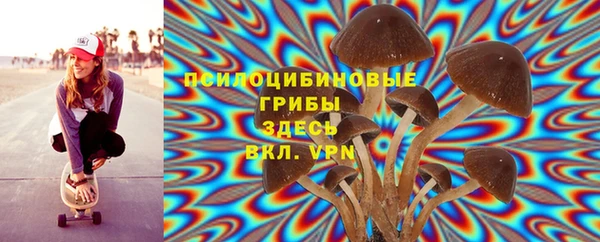 стафф Нефтекумск