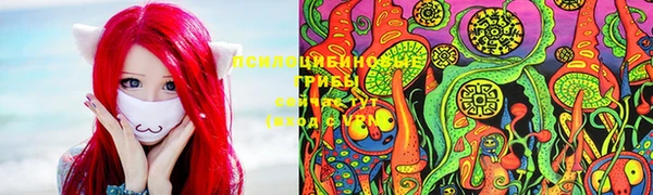 ПСИЛОЦИБИНОВЫЕ ГРИБЫ Новокубанск