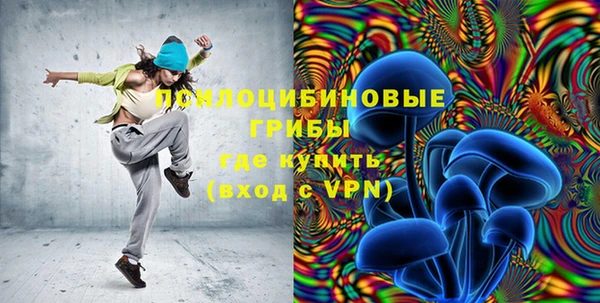 ПСИЛОЦИБИНОВЫЕ ГРИБЫ Новокубанск