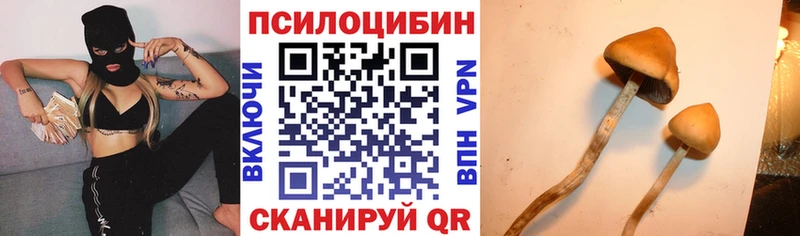 Псилоцибиновые грибы мицелий сайты даркнета формула Удомля
