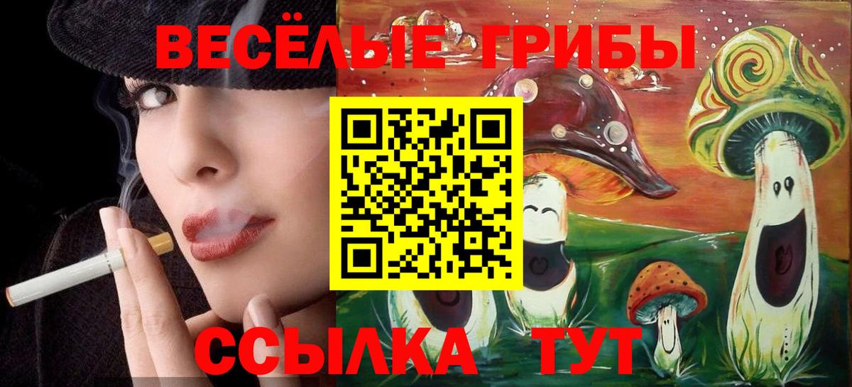 Псилоцибиновые грибы Psilocybine cubensis Удомля