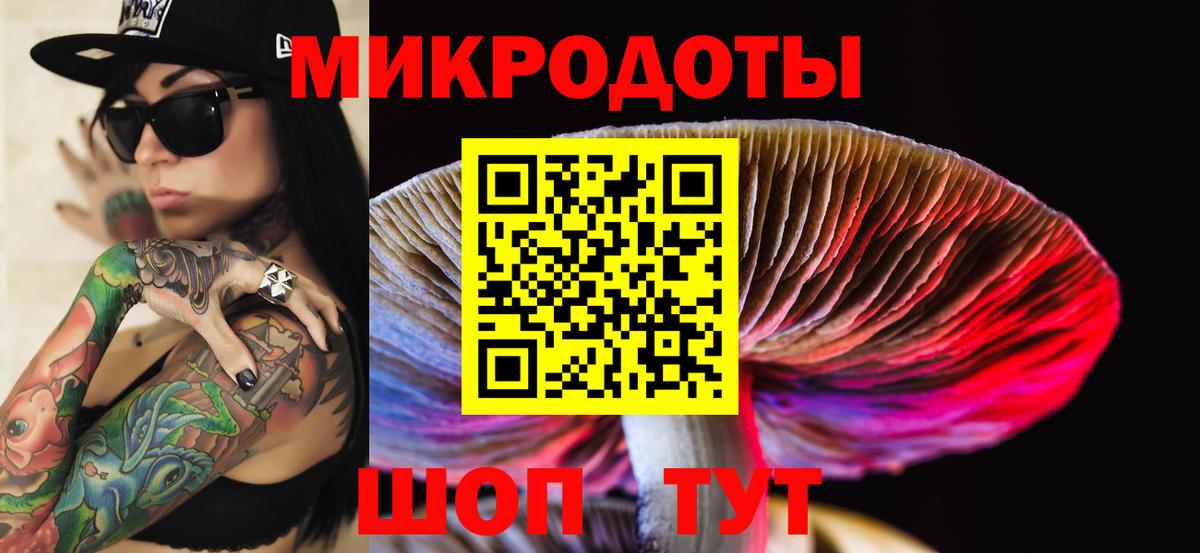 Псилоцибиновые грибы мицелий  Галлюциногенные грибы Cubensis  Удомля  что такое   Вход с VPN 